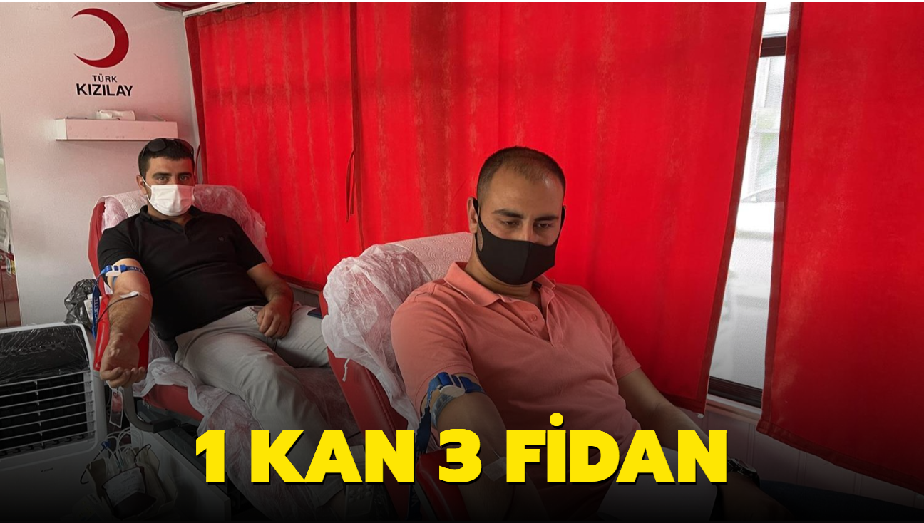 Kızılay'dan dikkat çeken kampanya: 1 kan 3 fidan