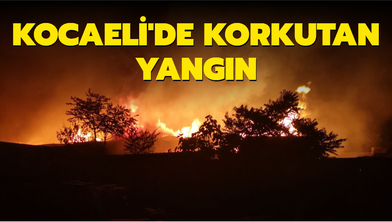 Kocaeli'de kereste fabrikasında çıkan yangın kontrol altına alındı
