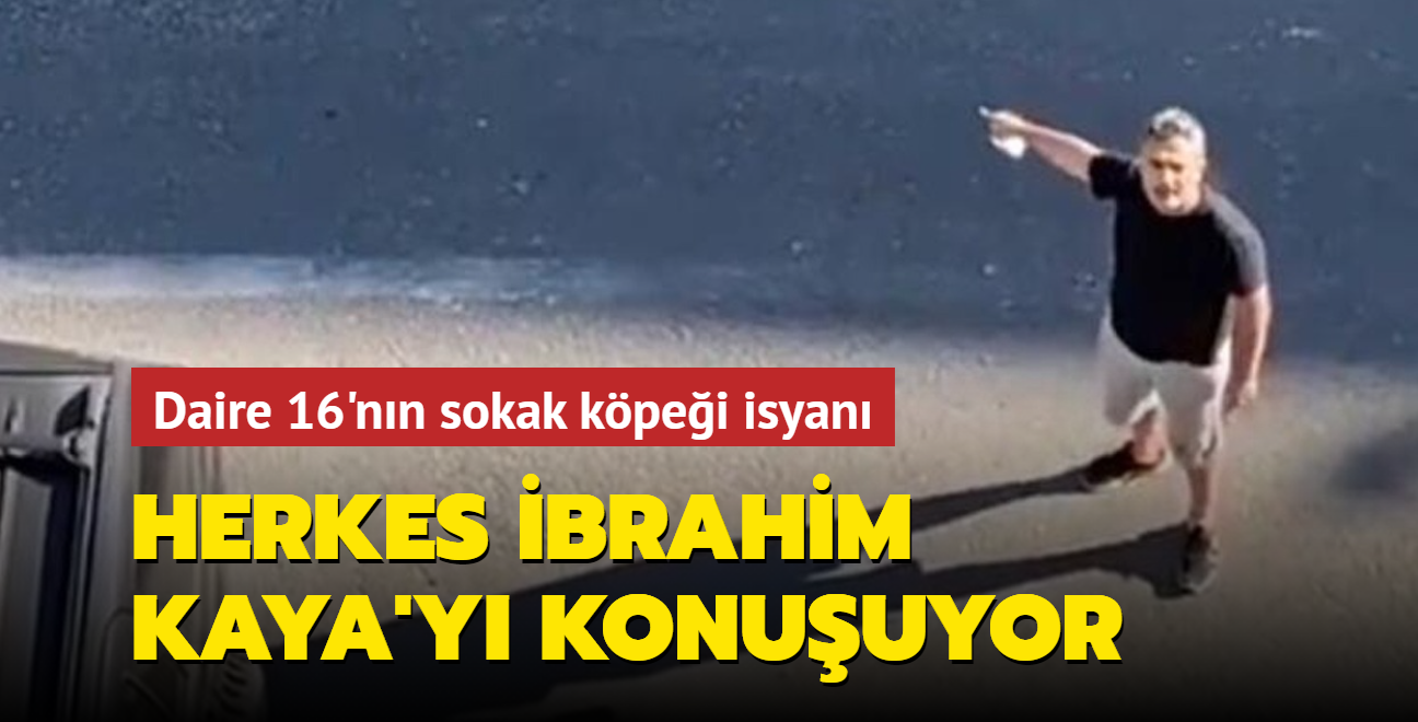 Sosyal medya "Daire 16'daki İbrahim Kaya"yı konuşuyor! Kendini sokağa atıp isyan etti