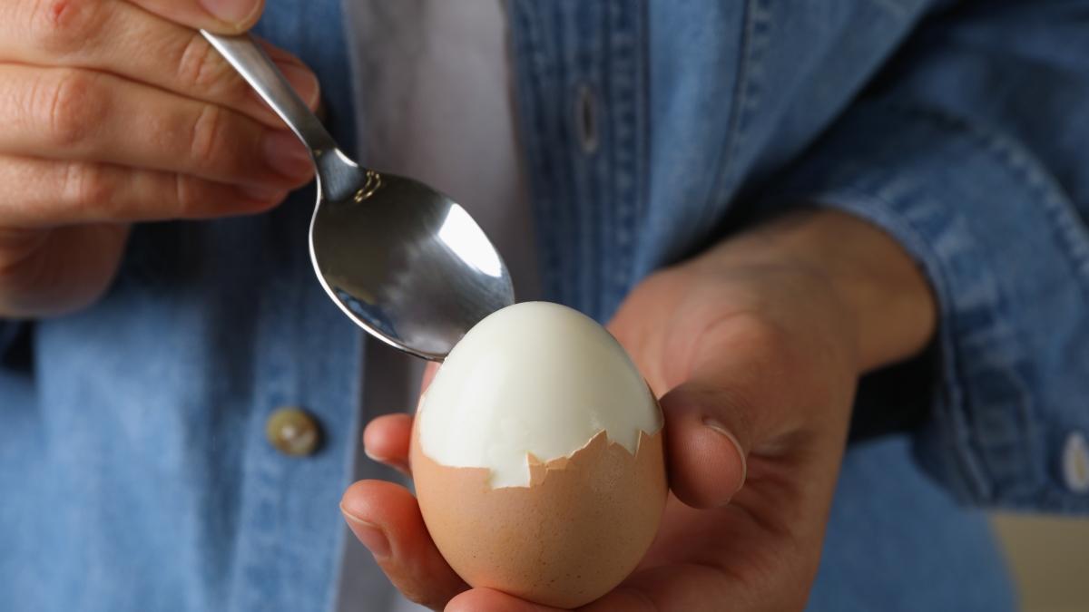 Her gn 1 adet yumurta yemenin 5 faydas