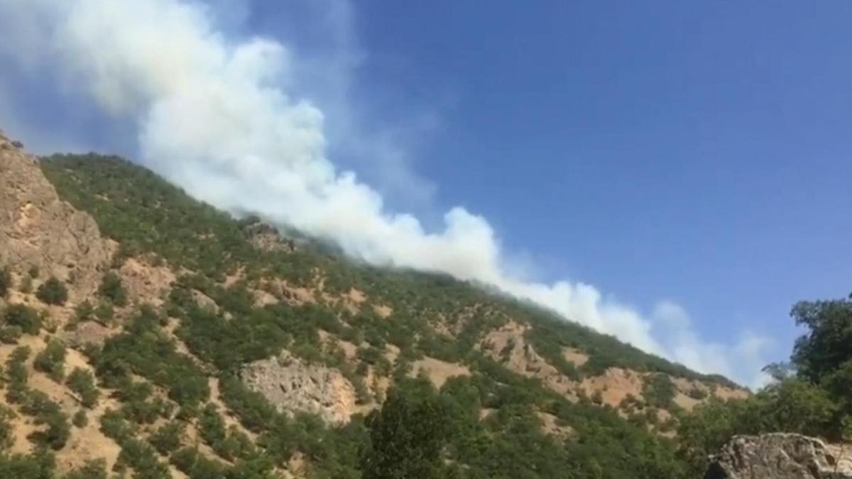 Tunceli'deki rt yangnlar kontrol altna alnd