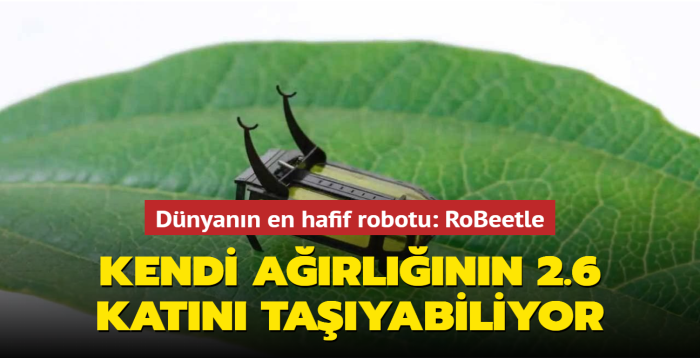 Dnyann en hafif robotu RoBeetle, kendi arlnn 2.6 katn tayabiliyor