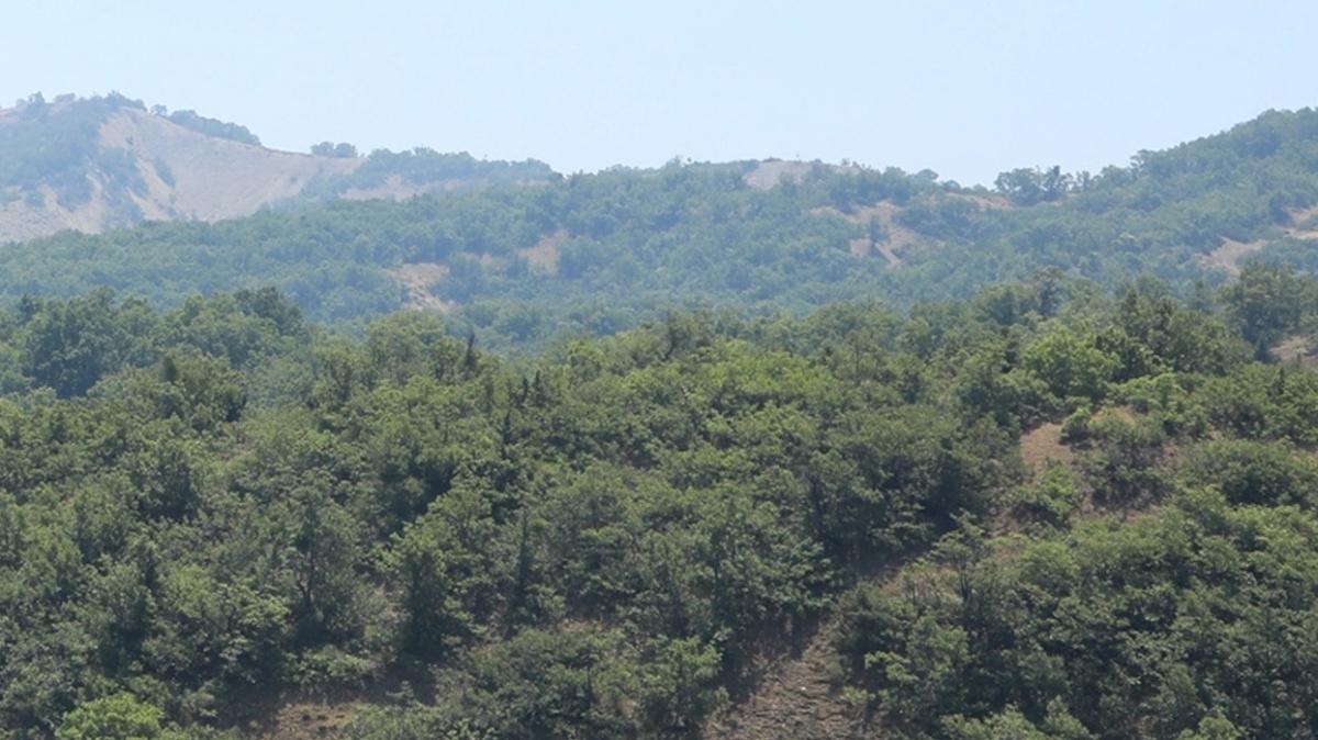 Bingöl'de ormanlık alanlara giriş yasağı uzatıldı