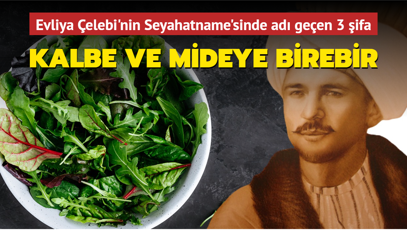 Evliya elebi'nin Seyahatname'sinde ad geen 3 ifa