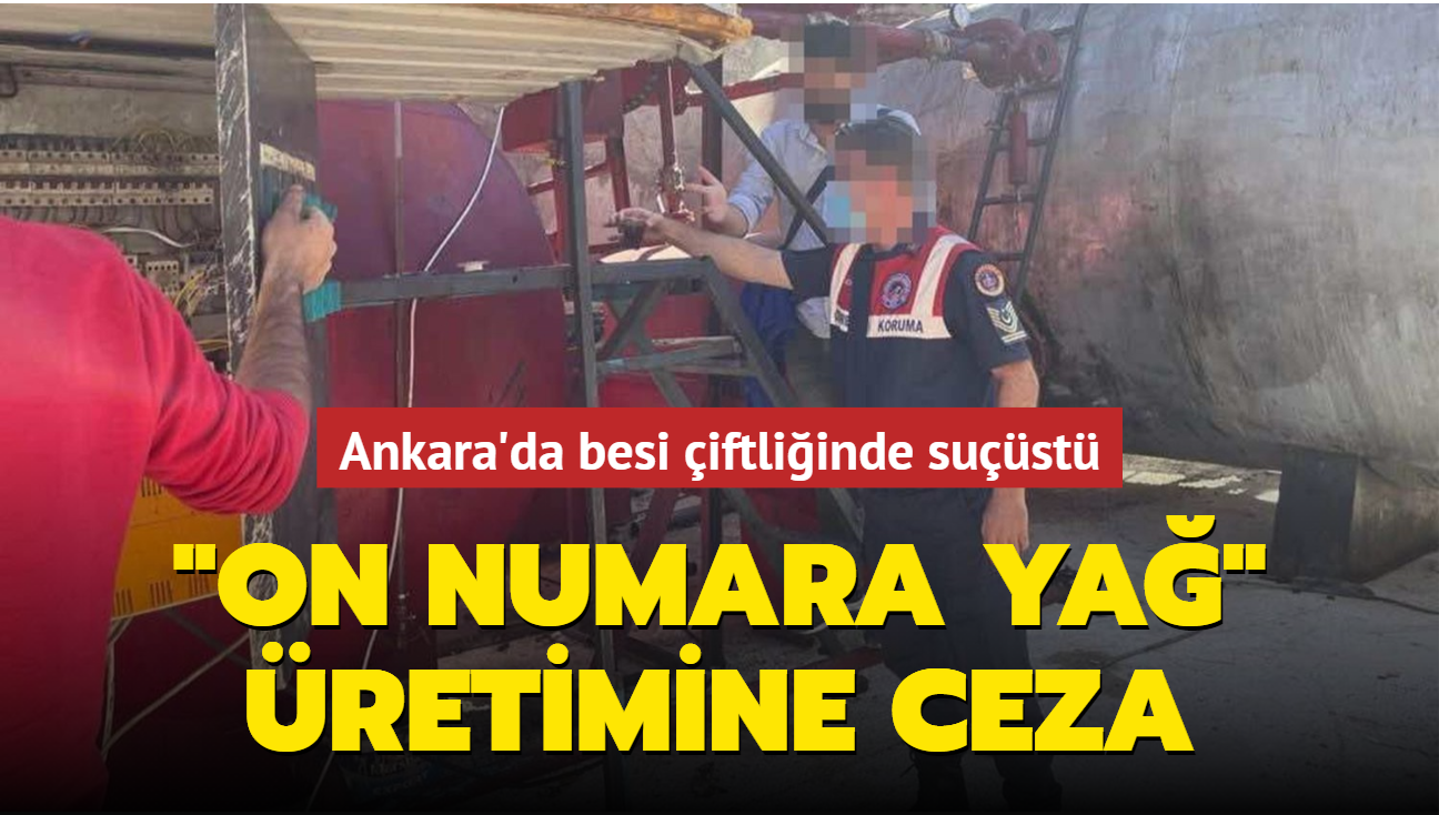 Ankara'da besi iftliinde sust: 'On numara ya' retimine ceza