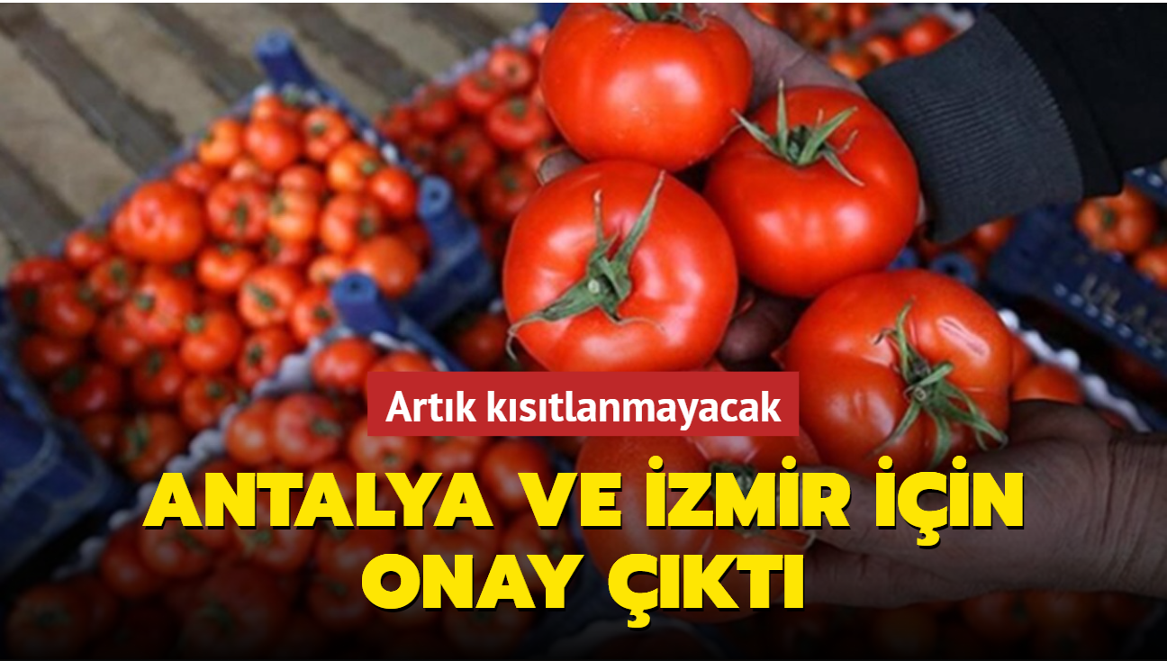 Rusya, İzmir ve Antalya'dan domates-biber alımına onay verdi