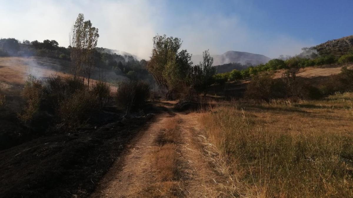 Ankara'nın Çubuk ilçesinde orman yangını... Kontrol altına alındı