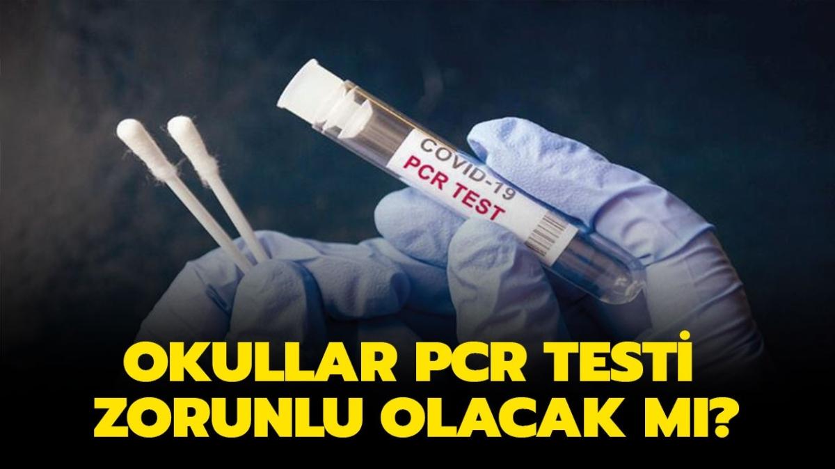 Bakan Özer açıkladı: Okullarda PCR test zorunlu olacak mı" Okullar öğrencilere PCR testi yapılacak mı"   