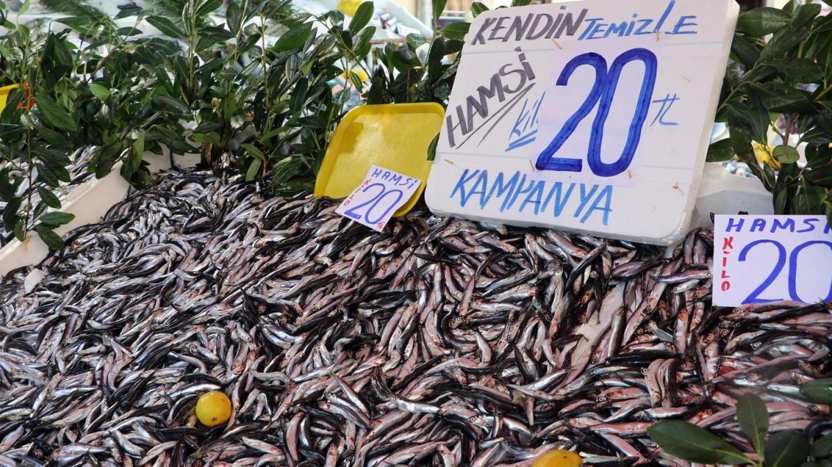 Denizlerin kuru fasulyesi hamsinin fiyat dt