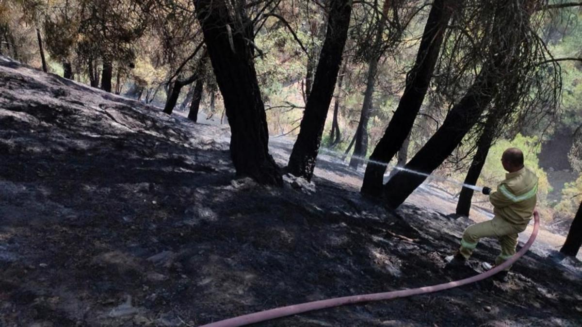 Uşak'taki orman yangını söndürüldü
