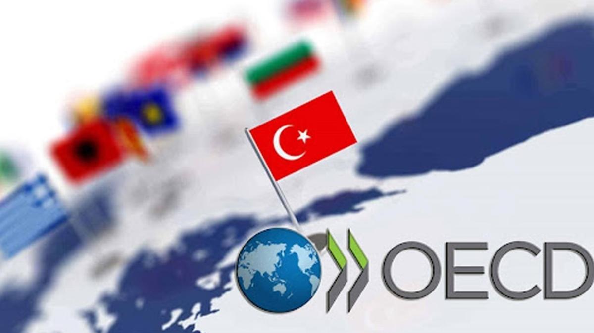 Цель экономического сотрудничества. ОЭСР И ОЕЭС. ОЭСР эмблема. Организация экономического сотрудничества и развития. Организация европейского экономического сотрудничества.