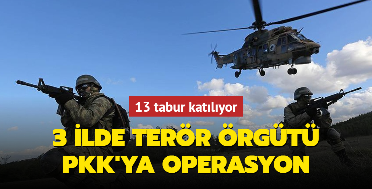 3 ilde terr rgt PKK'ya operasyon... 13 tabur katlyor