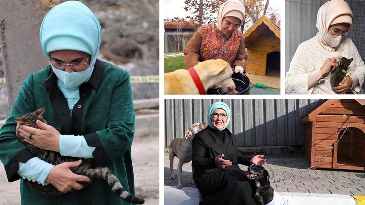 Emine Erdoğan'dan 'Hayvanları Koruma Günü' paylaşımı