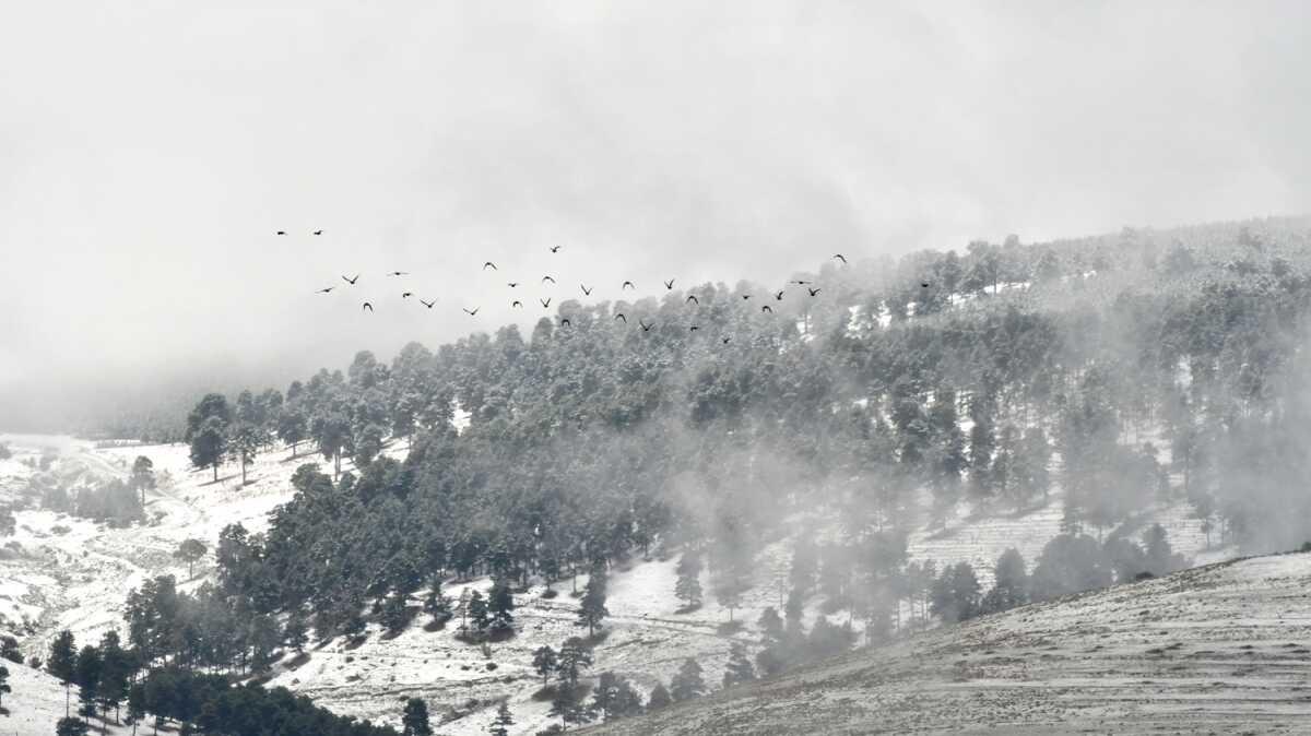 Kars'n Sarkam ilesi beyaza brnd