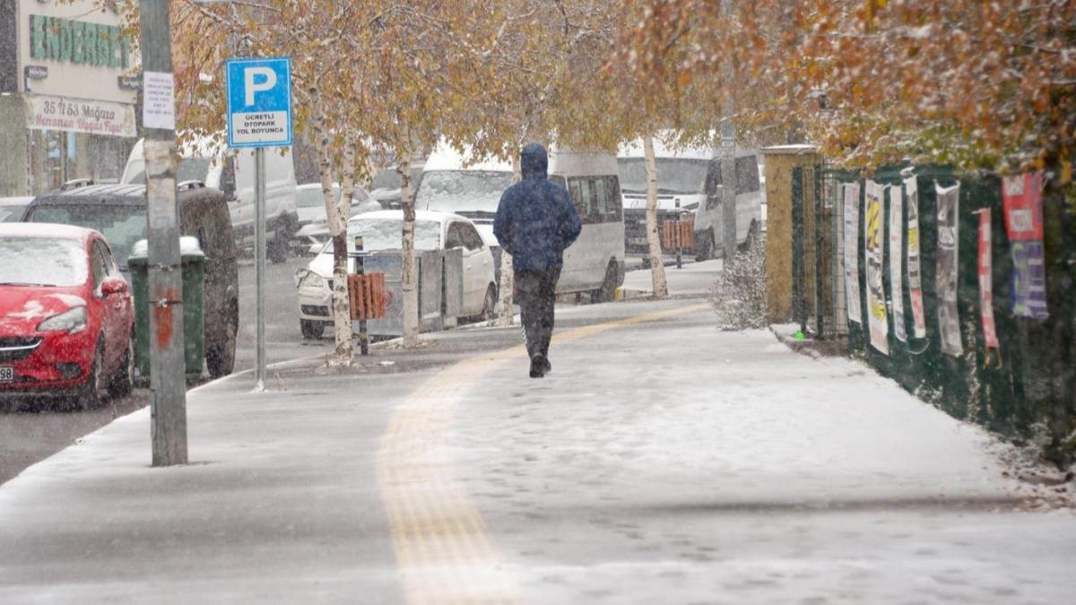 Kars ve Ardahan'da kar ya etkisini srdryor
