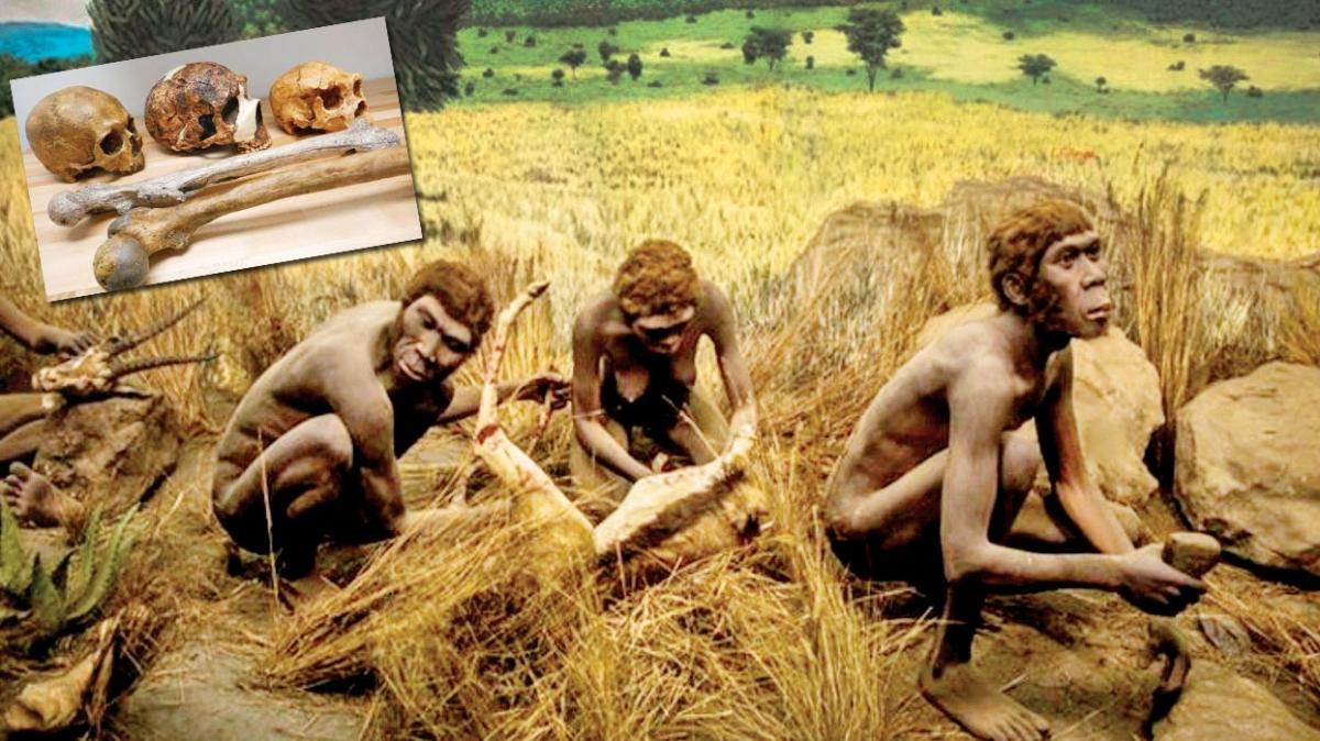Yeni insan tr: Homo bodoensis