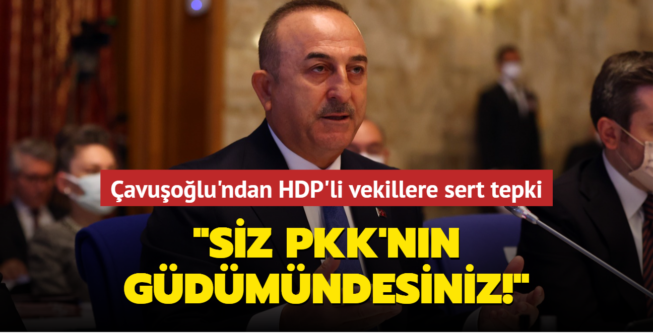 Bakan avuolu'ndan HDP'li vekillere sert tepki: Siz PKK'nn gdmndesiniz!