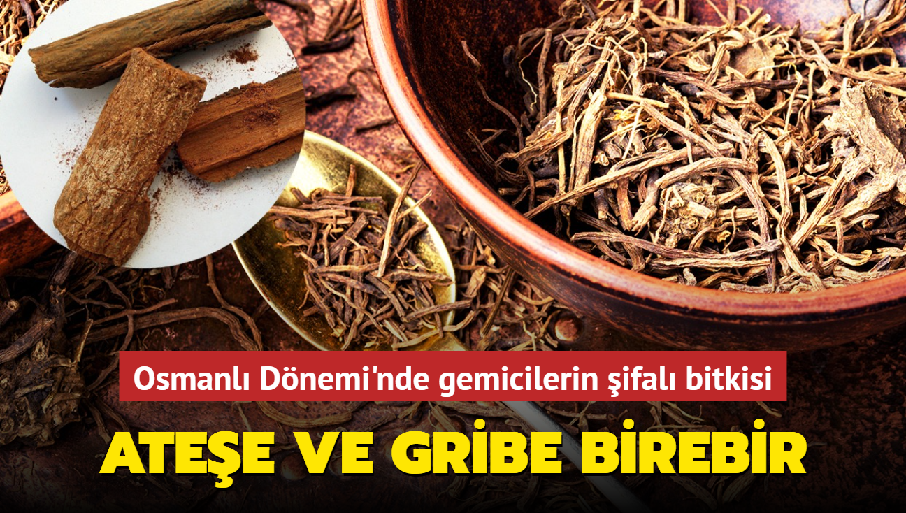 Osmanl Dnemi'nde gemicilerin ifal bitkisi atee ve gribe birebir