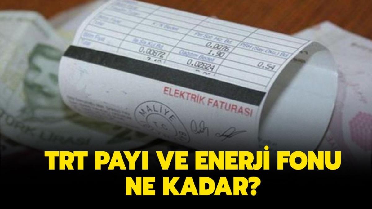 Elektrik faturasndaki enerji fonu ne kadar" Elektrik faturasndaki TRT pay ne kadar" 