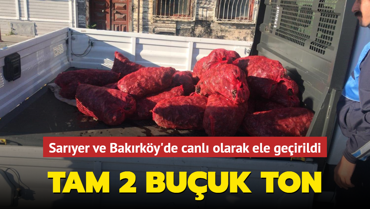 Sarıyer ve Bakırköy'de canlı olarak ele geçirildi: Tam 2 buçuk ton!