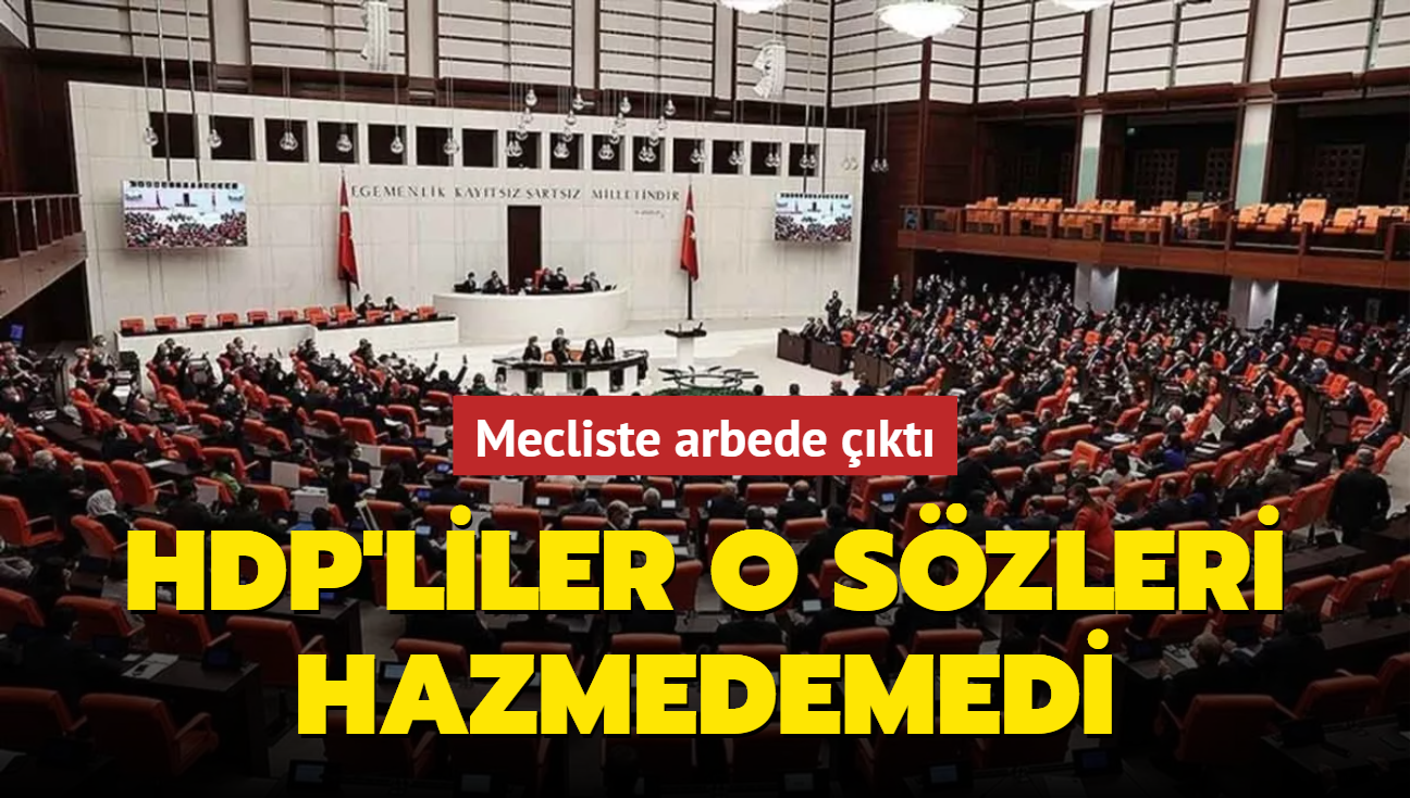 Mecliste arbede çıktı:  HDP'liler o sözleri hazmedemedi