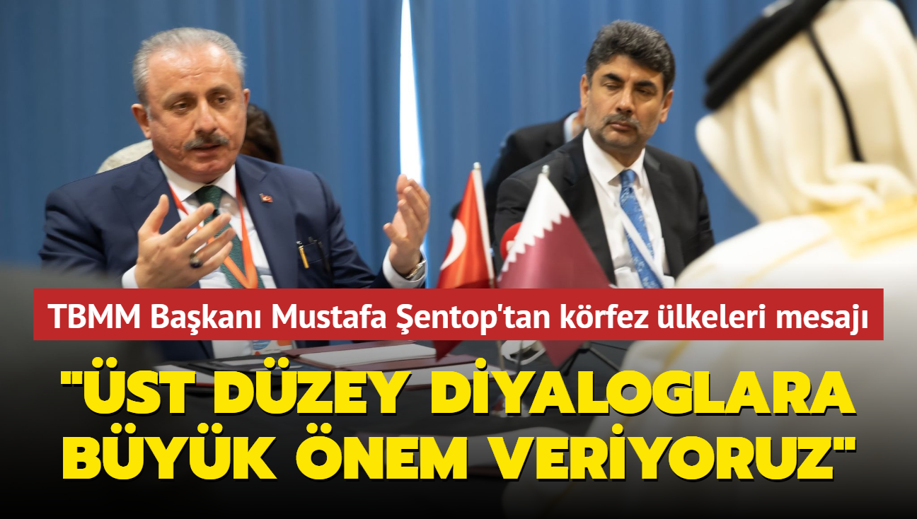 TBMM Başkanı Mustafa Şentop'tan körfez ülkeleri mesajı: "Üst düzey diyaloglara büyük önem veriyoruz"