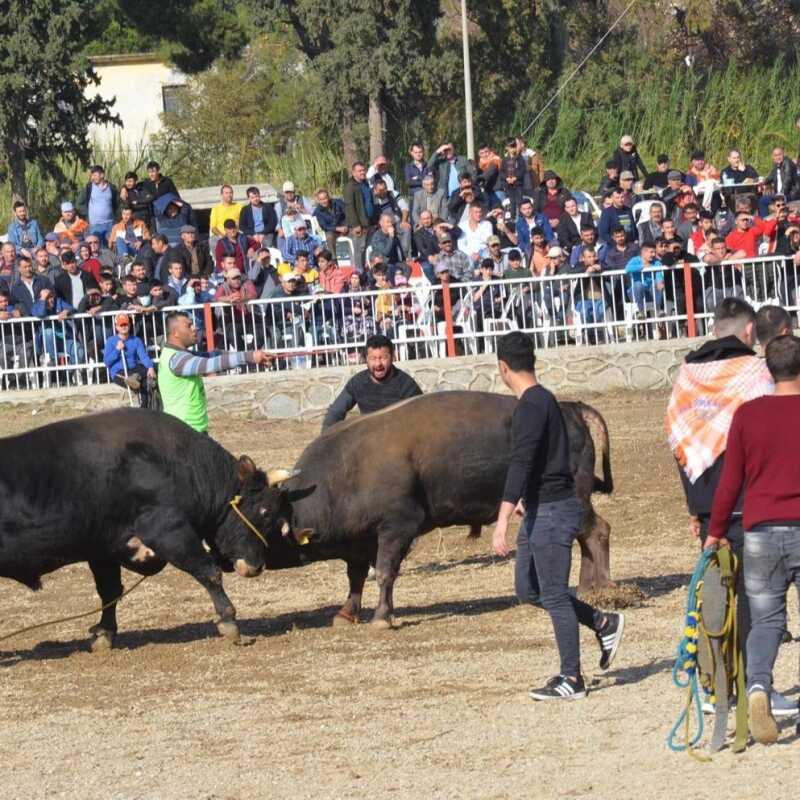 Nazilli'de okul yarar�na bo�a g�re�i d�zenlendi