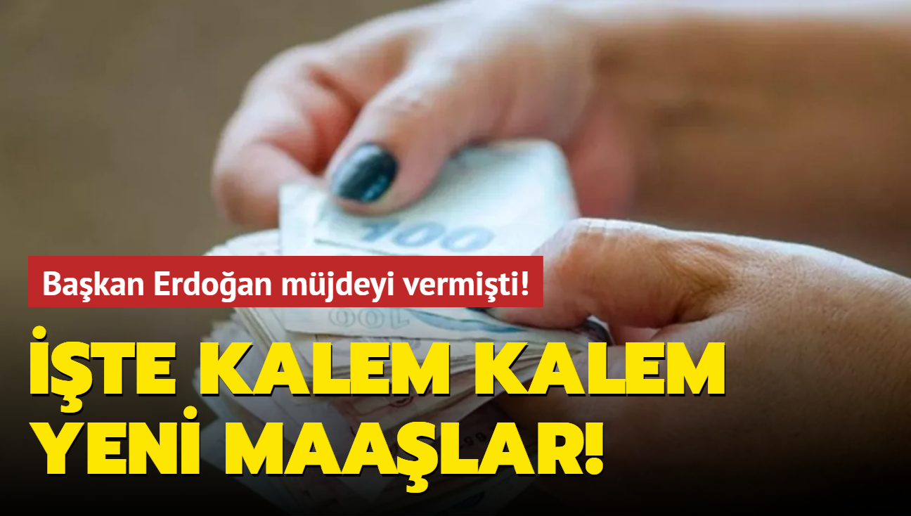 Başkan Erdoğan müjdeyi vermişti! İşte kalem kalem yeni maaşlar!