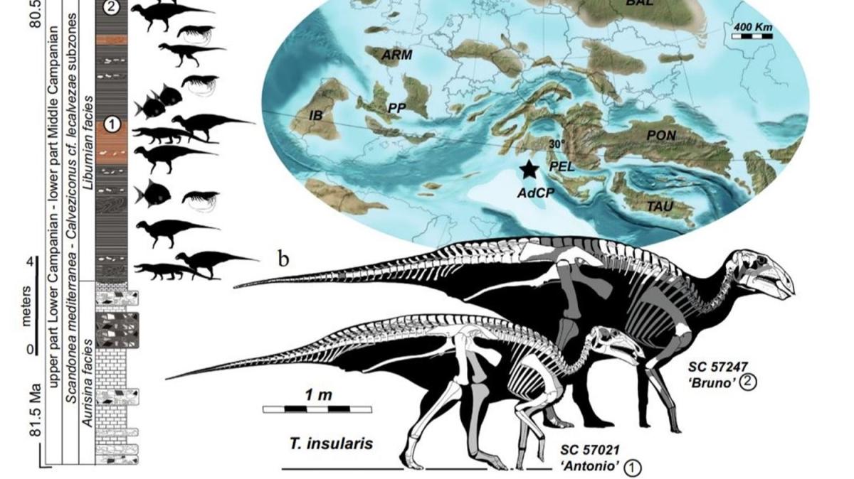 talya'da dinozor srsne ait kalntlar bulundu