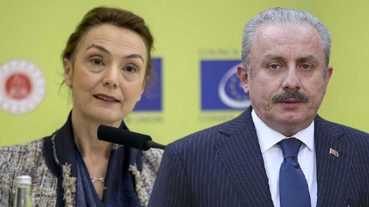 Avrupa Konseyi Genel Sekreteri'nden TBMM Bakan entop'un "bartllere ayrmclk" mektubuna yant! Geri adm attlar