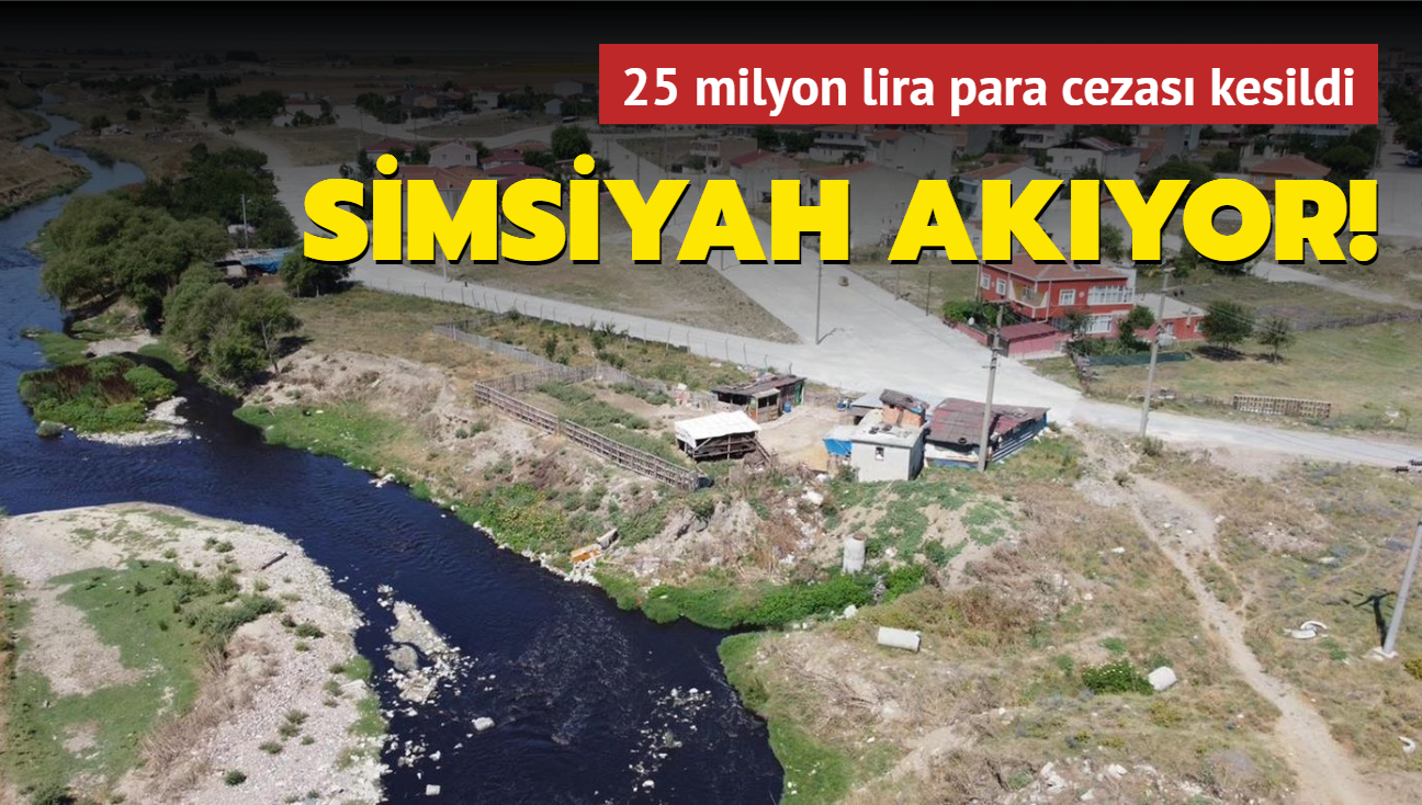 Simsiyah akyor! 25 milyon lira para cezas kesildi