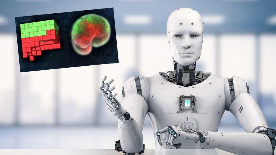 bu-robotlar-kendi-kendine-417_2.jpg