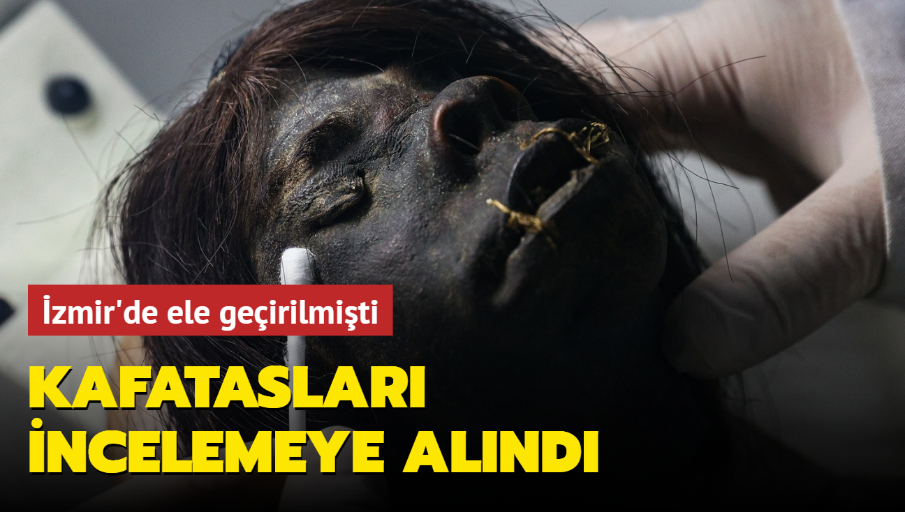 İzmir'de ele geçirilmişti... Jivaro kabilesine ait kafatasları incelemeye alındı