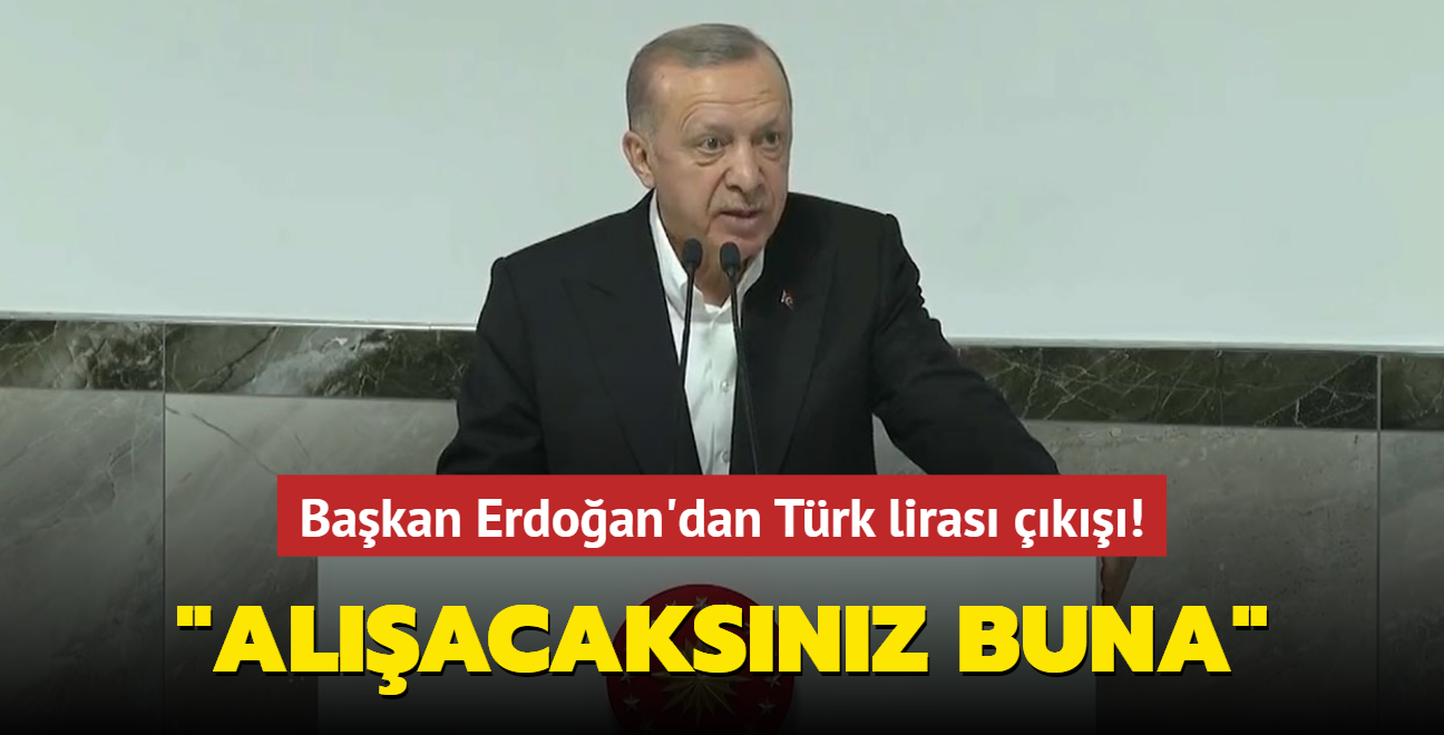 Başkan Erdoğan'dan Türk lirası çıkışı: Alışacaksınız buna