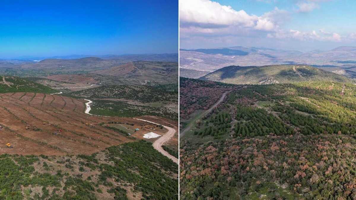 Bir fotorafta 20 yllk emek: ocuklarm gibi seviyorum