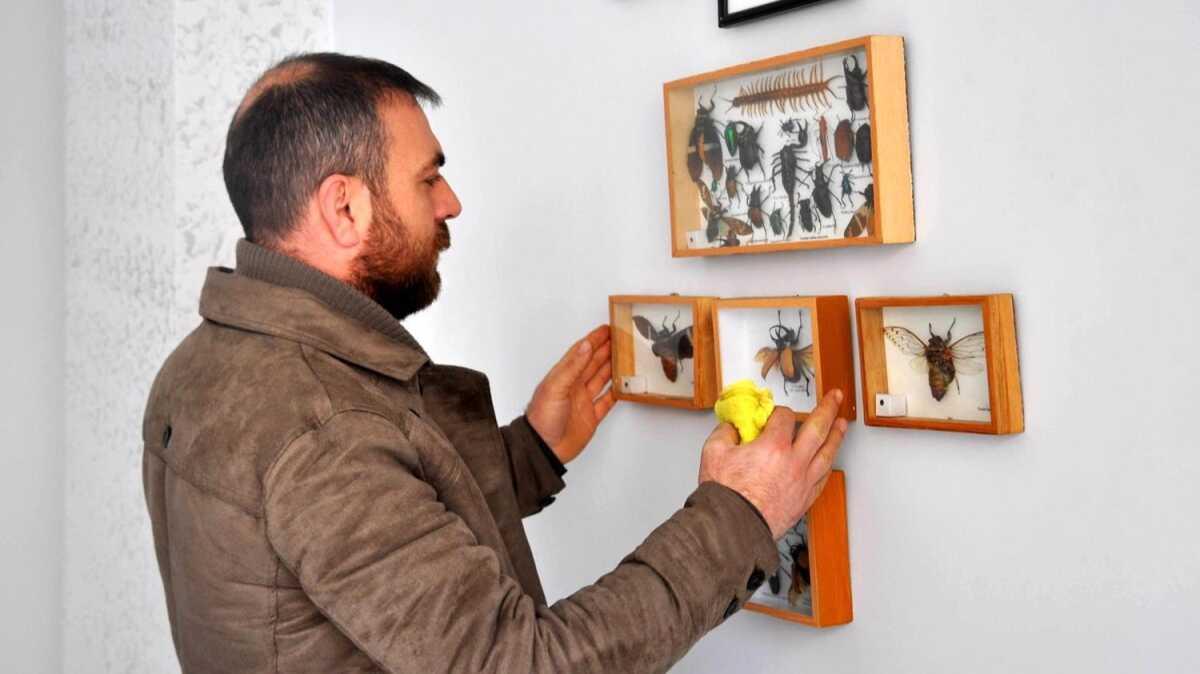 Bunlarn hepsi gerek! Tek tek yakalayp mumyalad... En sra d koleksiyon!