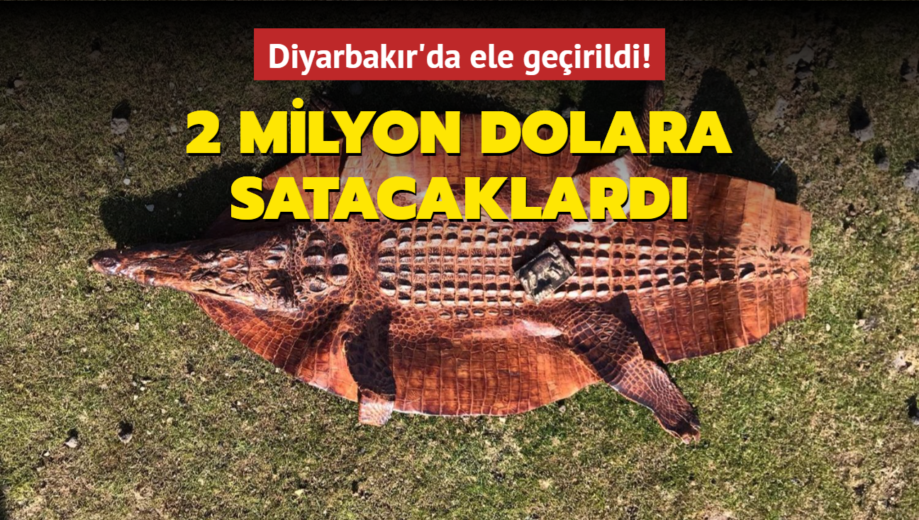 Diyarbakr'da ele geirildi! 2 milyon dolara satacaklard