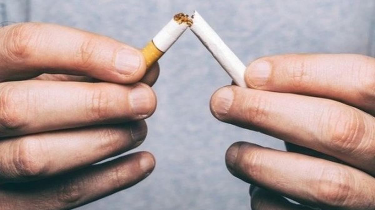 Philip Morris grubu sigara fiyatlar 2022 zam oran ne kadar oldu" te Parliament, Marlboro, Muratt 2022 zaml sigara fiyat listesi