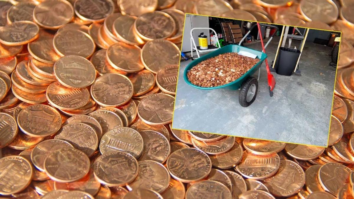 verenden eski alanna garip deme: Evinin nne 91 bin 500 adet bozuk para dktler