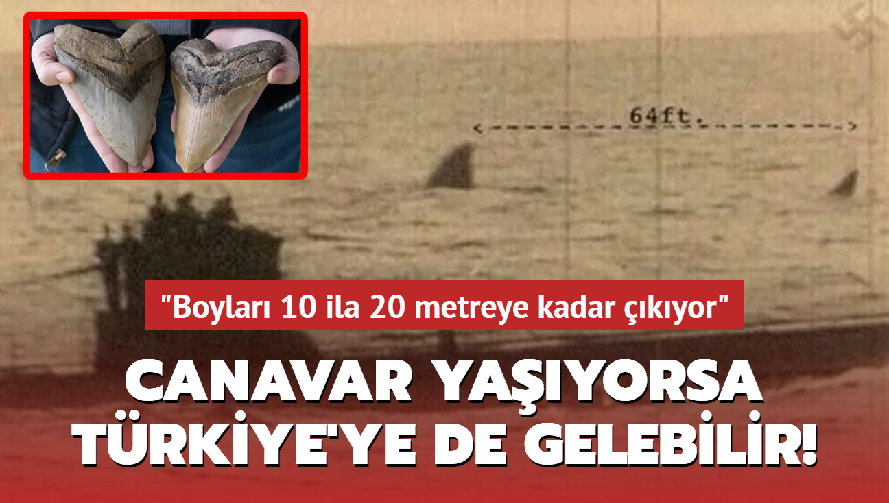 "Boyları 10 ila 20 metreye kadar çıkıyor" Canavar yaşıyorsa Türkiye'ye de gelebilir!