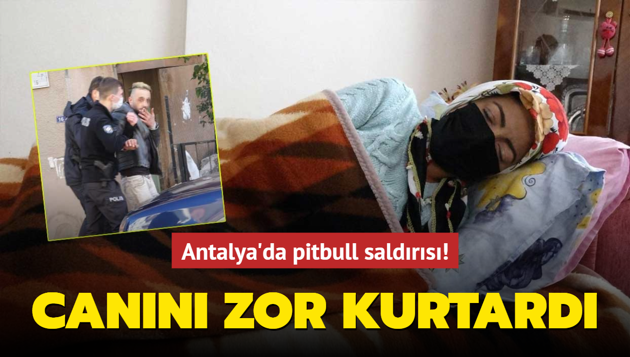 Antalya'da pitbull saldırısı! Canını zor kurtardı