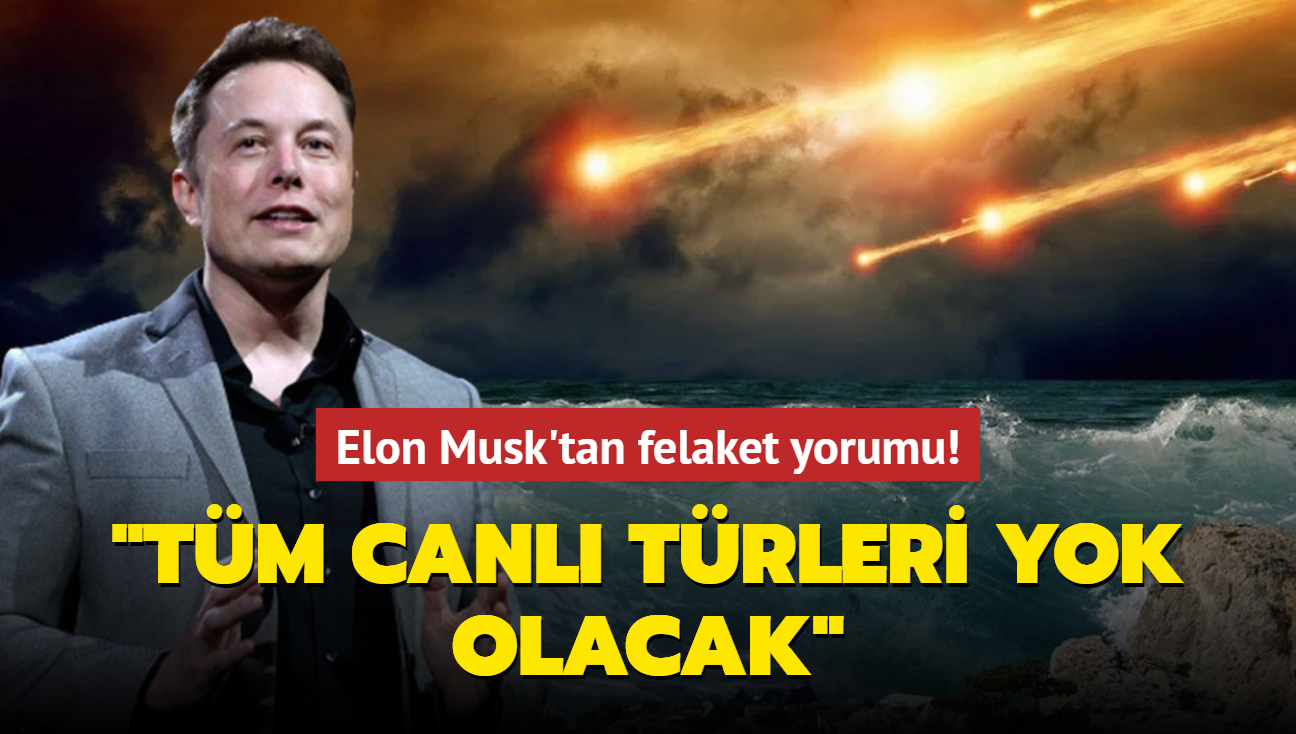 Elon Musk'tan felaket yorumu! "Tm canl trleri yok olacak"