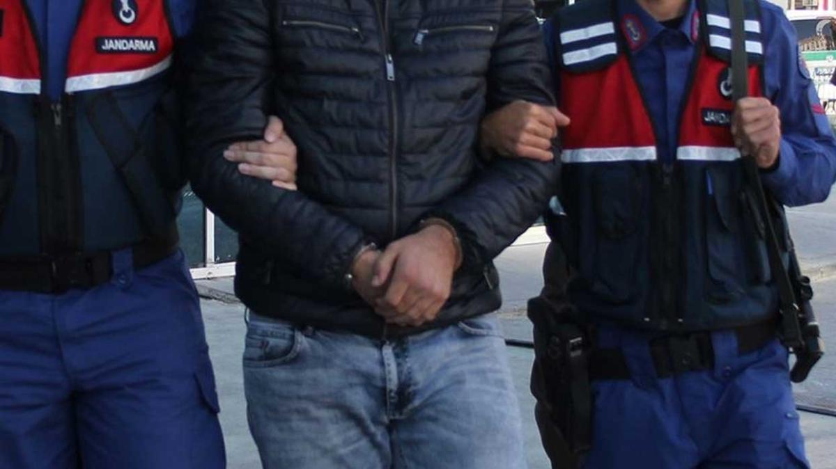 Mantar retim tesisinde Hint keneviri yetitiren 2 kii tutukland