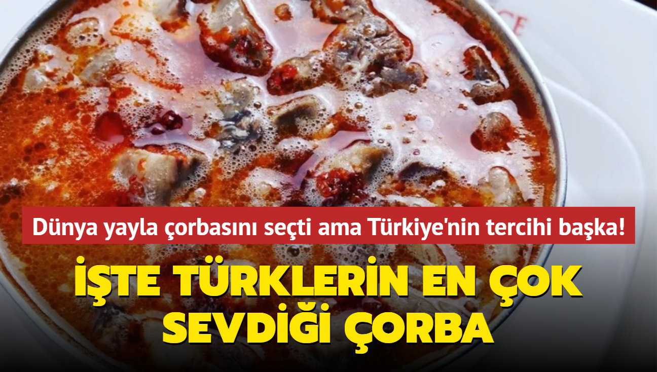 İşte Türklerin en çok sevdiği çorba! Dünya yayla çorbasını seçti ama Türkiye'nin tercihi başka!