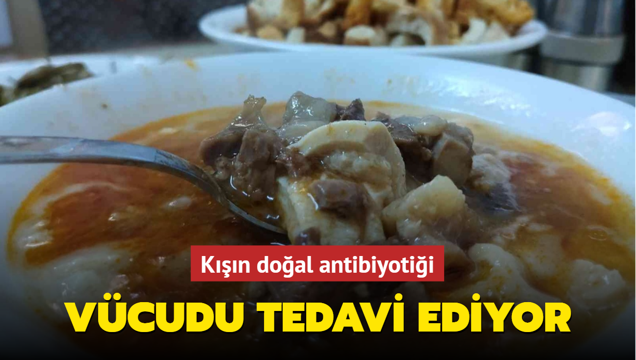 Kn doal antibiyotii! Vcudu tedavi eden orba