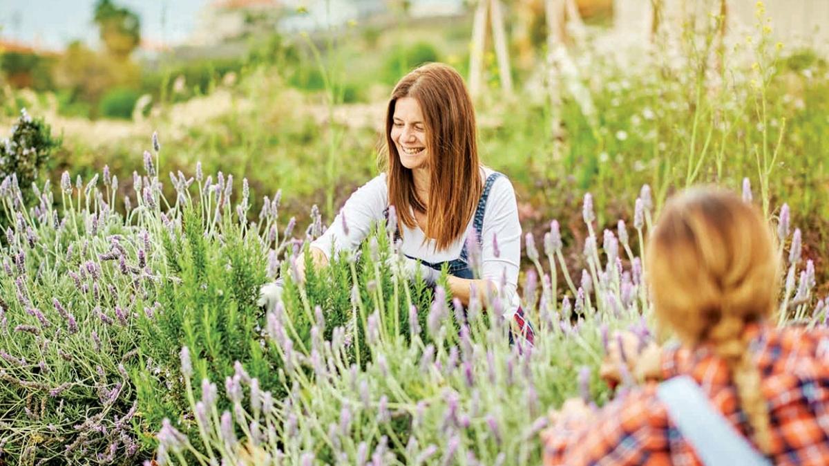 Aromatik bitkilerden 1 milyar dolar bekleniyor