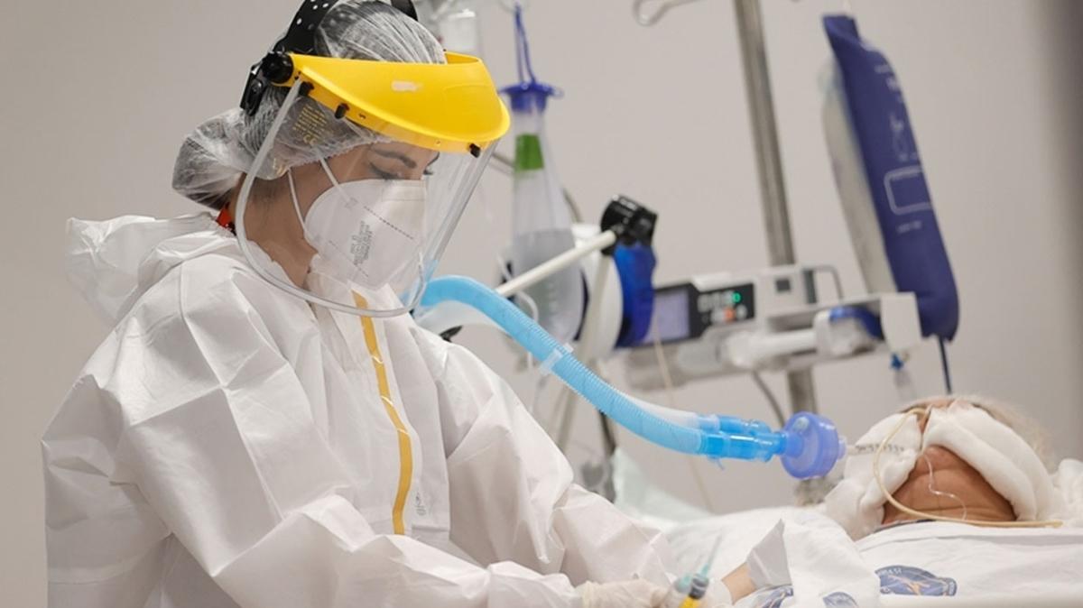 2 �ubat korona tablosu koronavir�ste son durum T�rkiyenin g�nl�k koronavir�s tablosu foto�raflar� resimleri