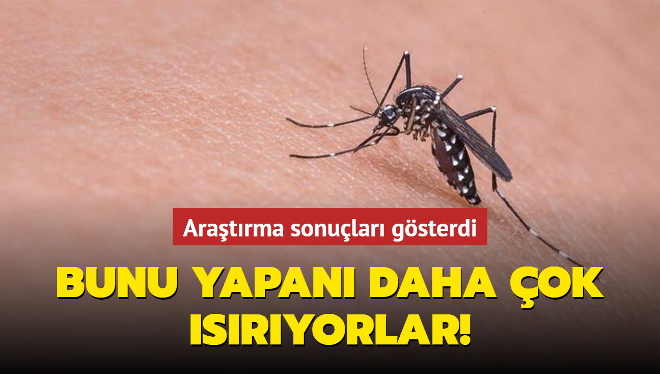 Bunu yaparsanız sivrisinekler daha çok ısırıyor! Araştırma sonuçları gösterdi