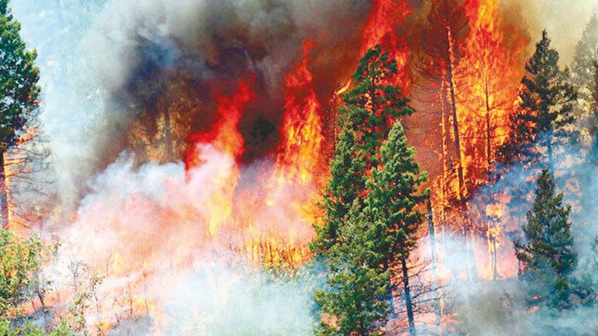 Orman yangınlarına yapay zekayla tespit