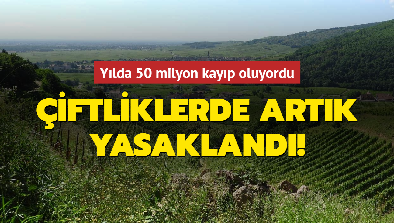 Ylda 50 milyon kayp oluyordu: iftliklerde artk yasakland!